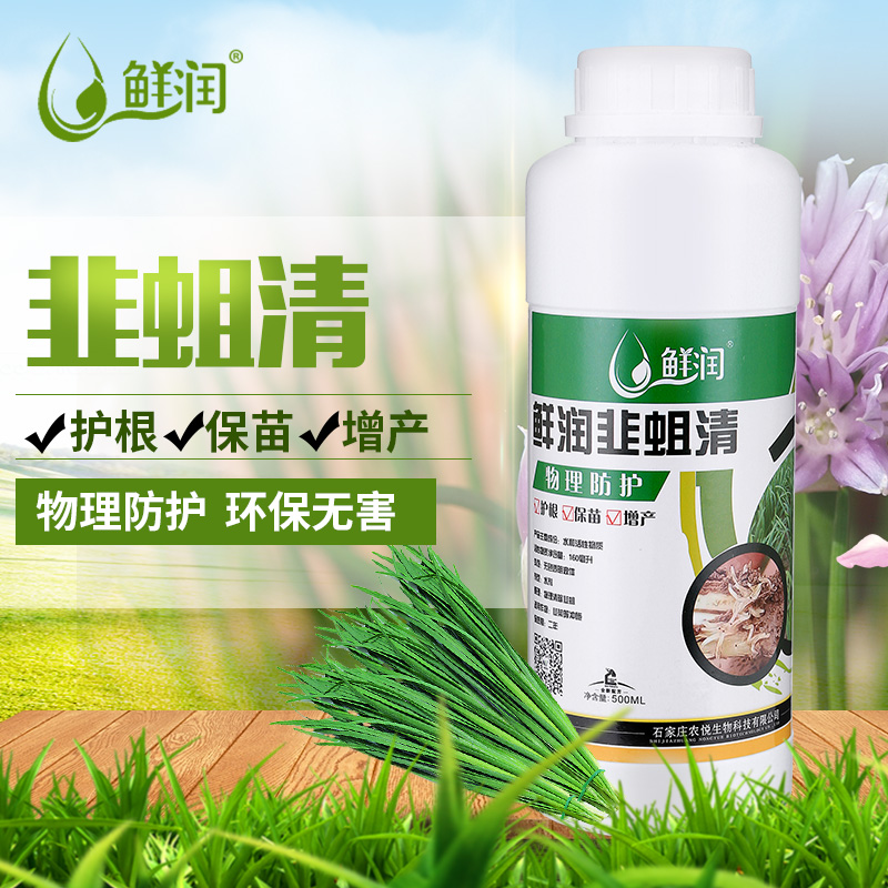鲜润韭蛆清